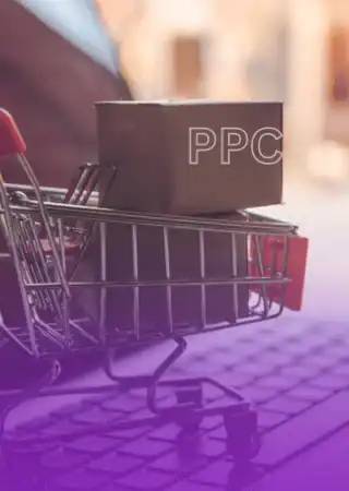 eCommerce PPC Services